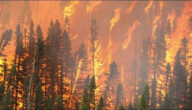 استراليا.. اطفائيون يدمجون حريقين هائلين للسيطرة على النيران