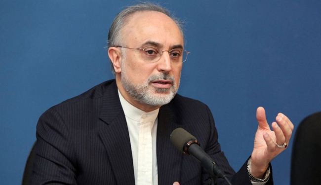 Iran did not stop 20% uranium enrichment: Salehi