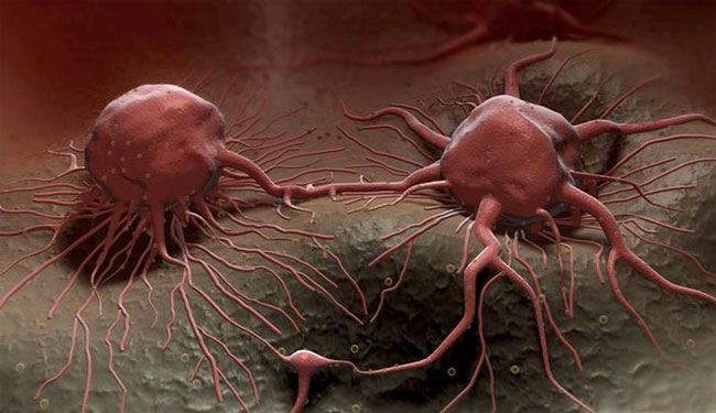 العلماء يجعلون خلايا السرطان تدمر نفسها بنفسها
