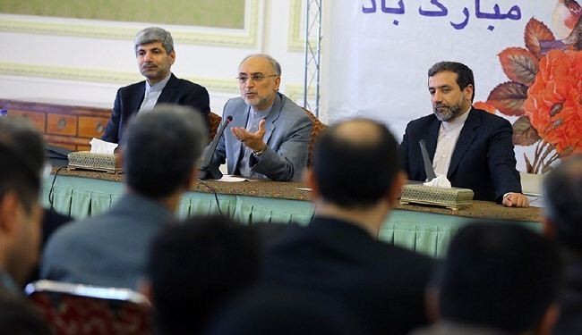 Salehi: We should foresee 20 nuclear plants like Bushehr’s