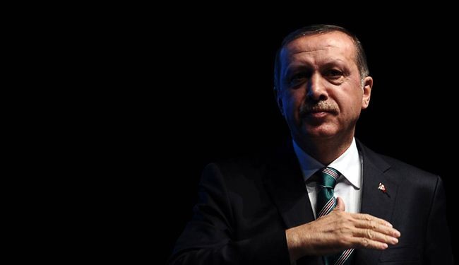 Erdogan to foreign envoys: Mind your own businesses