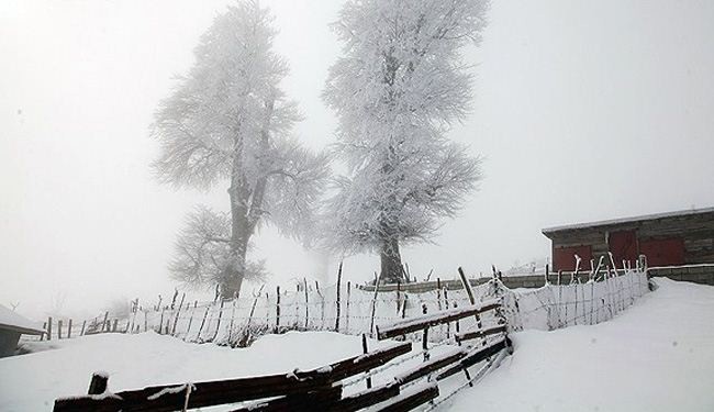 Eye-catching photos of winter in Talesh