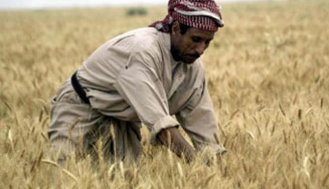 کشاورزان عراقی پول برق نمی‌دهند