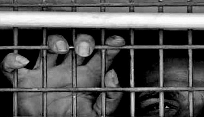 Prisoners tortured in indescribable ways in Egypt