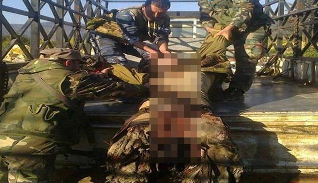 بالصور: قتلى الشيشانيين في معركة كسب