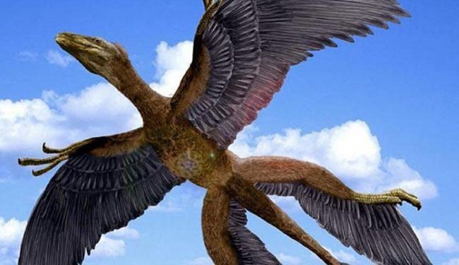 علماء: الديناصورات لم تنقرض بل تحولت إلى طيور