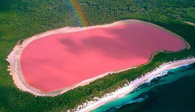 In picture: Pink Lake in western Australia