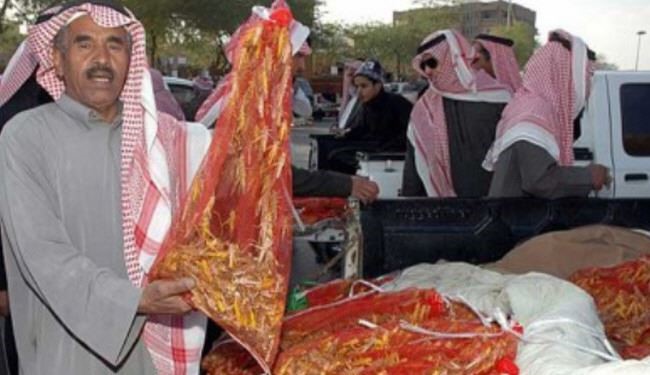 ماه رمضان و افزایش مصرف ملخ در عربستان!