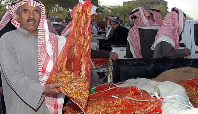 سعوديون يقبلون على شراء الجراد في شهر الصيام