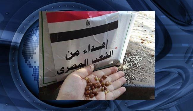 ارتش مصر، مواد غذایی فاسد به غزه اهدا کرد + عکس