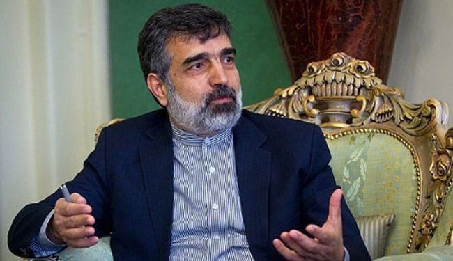 Iran wants IAEA talks to speed up: Official