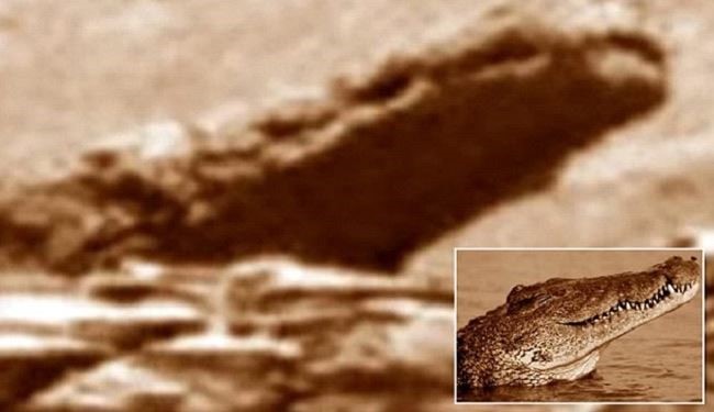 اكتشاف تمساح حجري على سطح المريخ