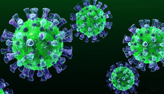 ظهور 6 حالات جديدة للإصابة بفيروس 