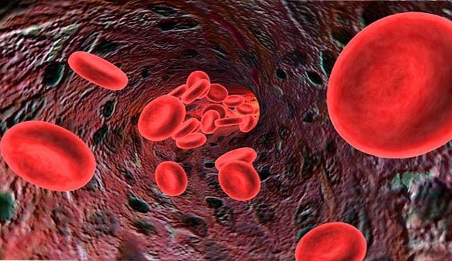 New Target for Blood Cancer Treatment Discovered