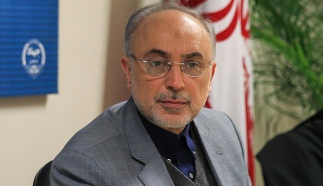 Iran AEO Chief Leaves for Moscow to Ink Contracts on Construction of 2 New Power Plants