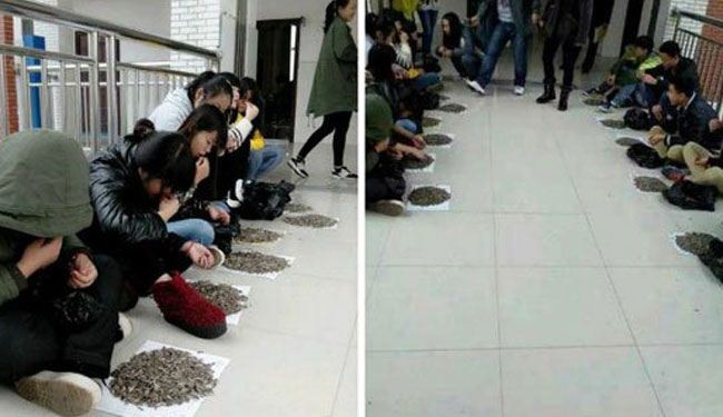 بالصور.. مدرس صيني يعاقب طلابه بتناول 50 كيلو من اللب