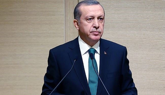 أردوغان: حملات 
