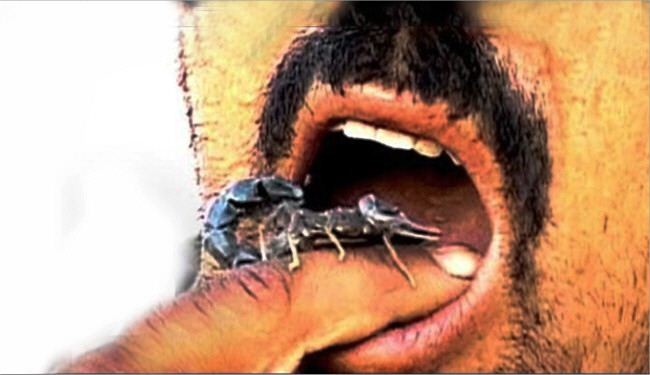 داعش يستخدم الحشرات السامة بمواجهة الجيش العراقي!