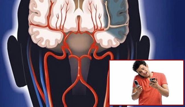دراسة: هذا ما تفعله كثرة استخدام الهواتف الذكية بالمخ