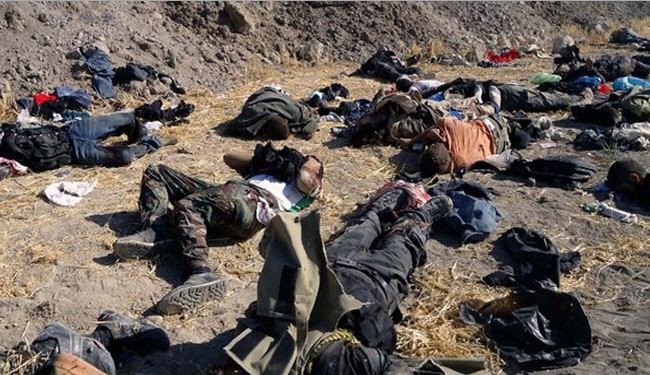 مقتل 30 عنصراً من داعش والبيشمركة في عين العرب