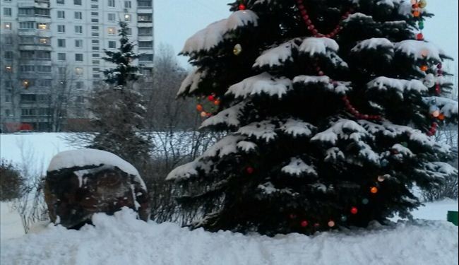 اجواء اعياد الميلاد في موسكو