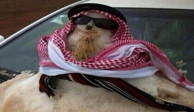 Saudi Cleric Condemns Snowman-Building as Anti-Islamic +PHOTO