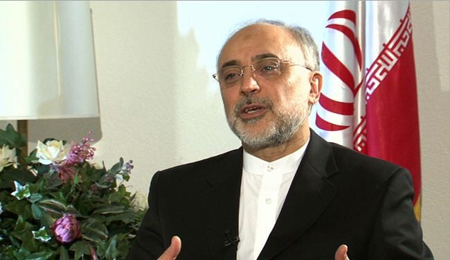 صالحي: ایران حققت منجزات عملیة مذهلة رغم الصعاب