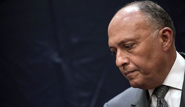 وزير الخارجية المصري: على الولايات المتحدة احترام القوانين المصرية
