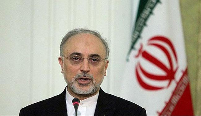 صالحي يؤكد استعداد ايران لعقد اتفاقية اقليمية للسلامة النووية