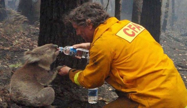 صور.. تجعلكم أكثر تفاؤلا !