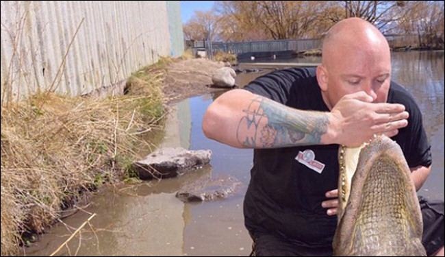 صور... تمساح يطبق على يد رجل لمدة 10 دقائق