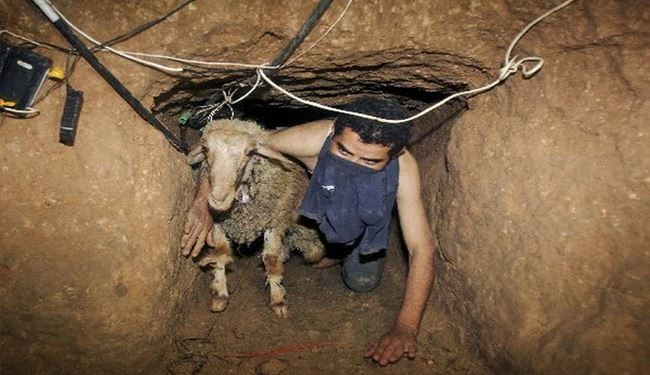مجازات حبس ابد برای حفر تونل در مصر