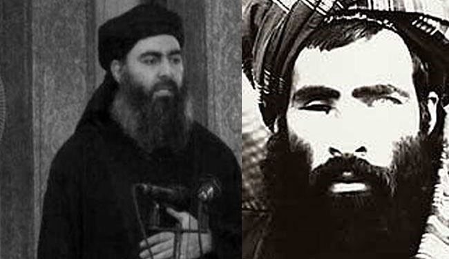 Taliban Serious Warning to Al-Baghdadi ISIS’s Head