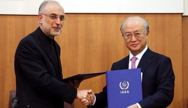Salehi: Iran's Redlines Observed in New Agreement with IAEA
