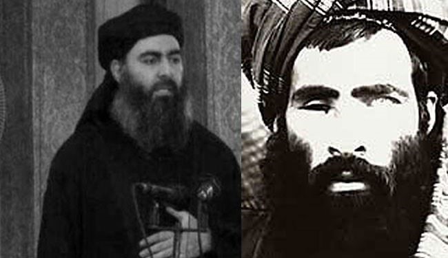 Reconciliation of ISIS’s Baghdadi and Mullah Omar by Pakistani Taliban