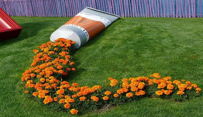 صور.. طرق إبداعية ومذهلة في زراعة الزهور!