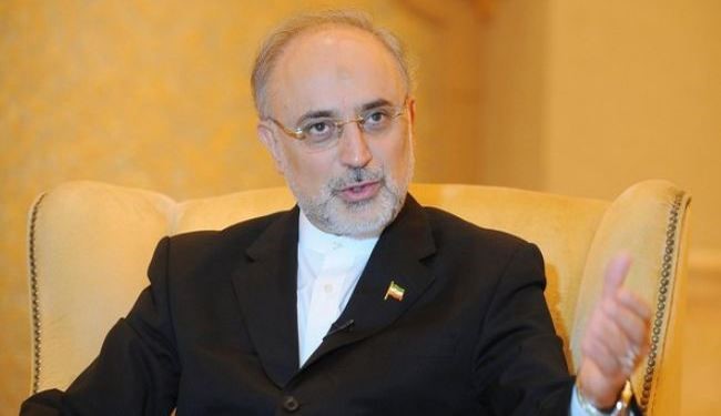 Salehi: Iran to Build 2 Nuclear Power Plants with China