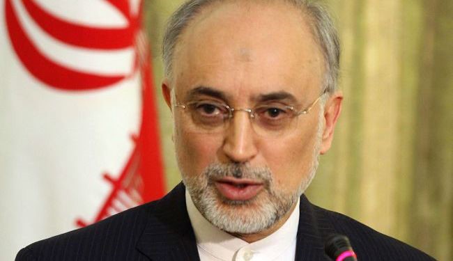 Salehi: No Agreement for Separate Visiting of Parchin