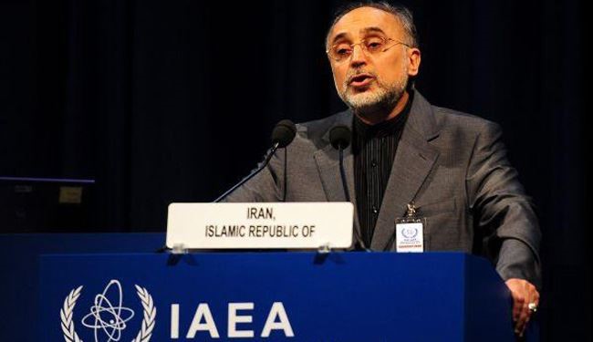 Salehi: Iran to Increase Enrichment Capacity 15 Years after JCPOA
