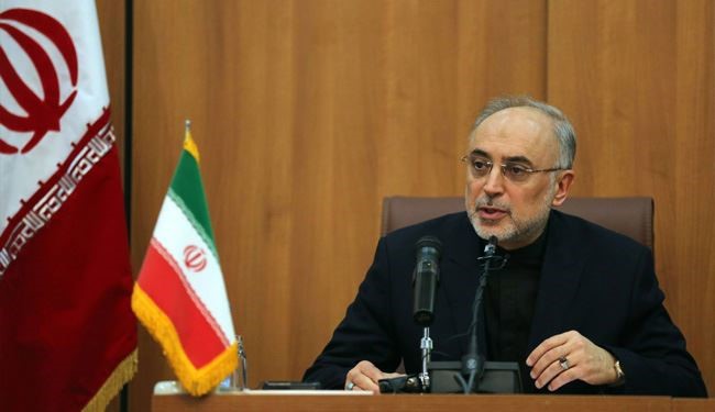 Salehi: Iran Focuses on Commercial Nuclear Activities