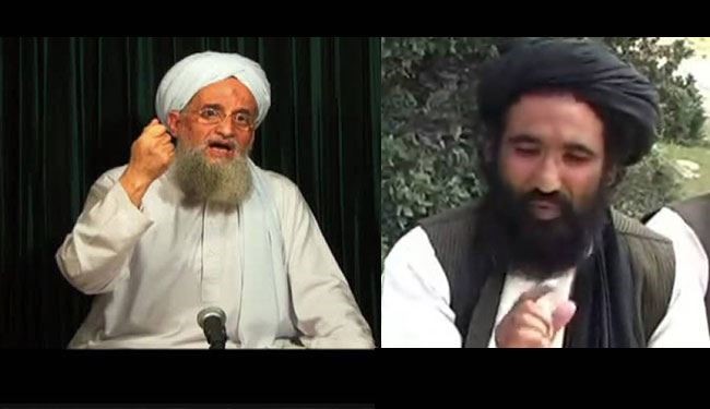 Al-Qaeda's Zawahiri Pledges Allegiance to New Taliban Chief