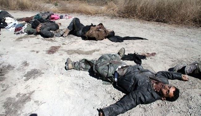 Syrian Army Kills Bunch of Takfiri Militants in Aleppo