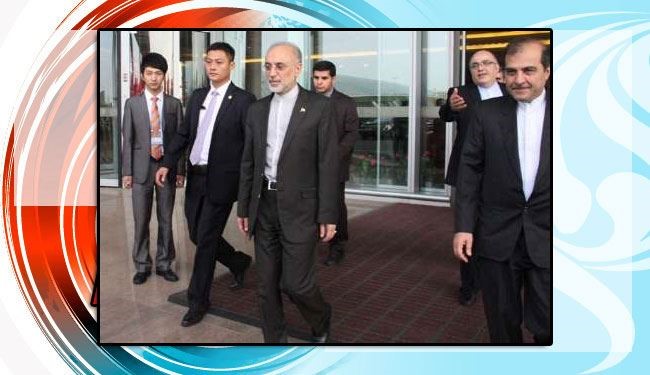 China Constructs Multi-Dimensional Power Plants in Iran: Salehi