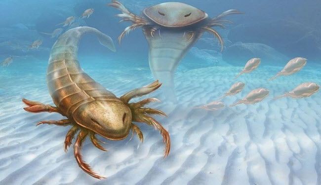 اكتشاف أول الكائنات البحرية المفترسة على كوكب الأرض