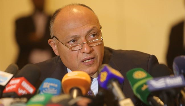 Egyptian FM Backs Russian Airstrikes against Terrorists in Syria