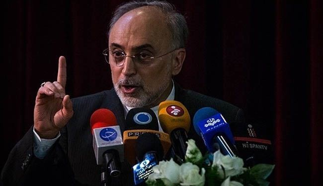 صالحي: ايران فرضت ارادتها وحققت اهدافها في المفاوضات النووية