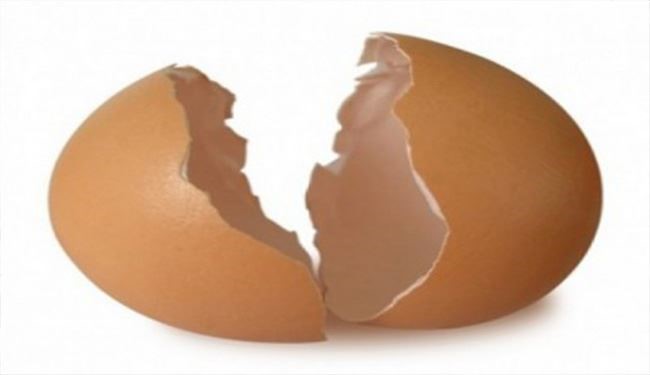 پوست تخم مرغ را دور نریزید!