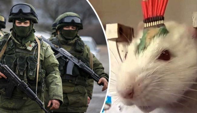Russian President Release Engineered Army of Rats in Fight against ISIS