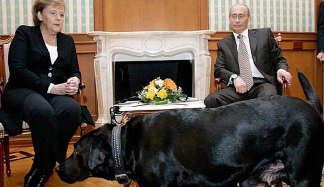 بوتين: لم أقصد إخافة انجيلا ميركل بكلبي +صور