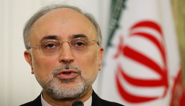 Salehi: Nuclear Fuel Exchange between Iran, Russia Very Profitable